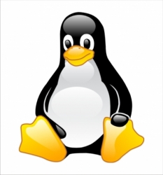 Software Livre na Universidade