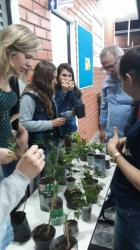 21 de Setembro - Dia da Árvore